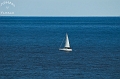 Tropea (28)